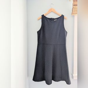Ann Taylor LOFT NWT Black and Blue Dot Flare Dress, Size 14